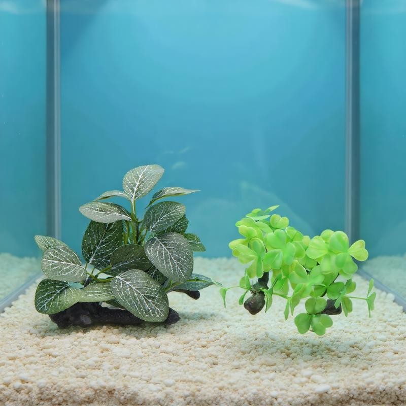 Planted Aquarium With Driftwood - 수족관 장식용 인공 유목 식물 플라스틱