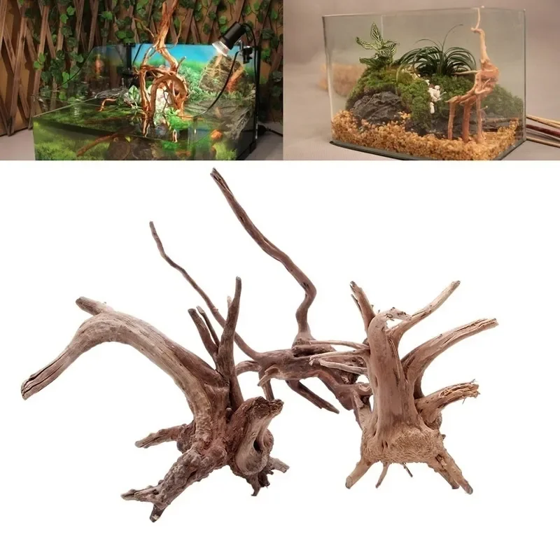 Planted Aquarium With Driftwood - 천연 나무 줄기 유목 수족관 어항,