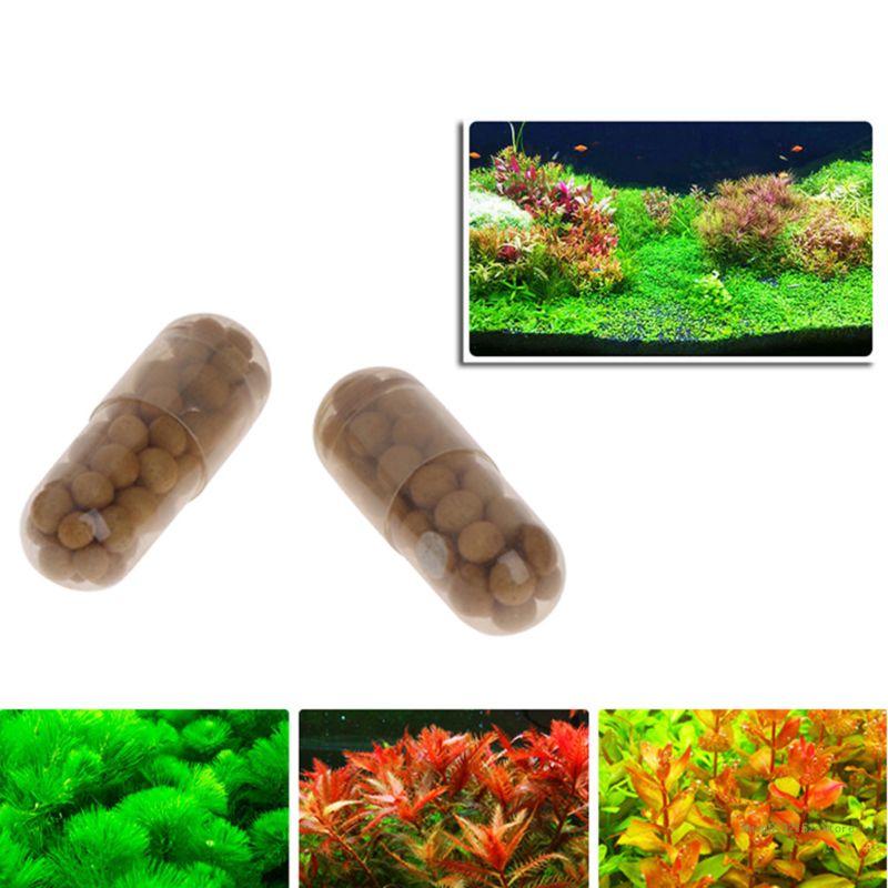 Aquarium Plant Root Fertilizer - QX2E 수족관 라이브 식물 비료 뿌리