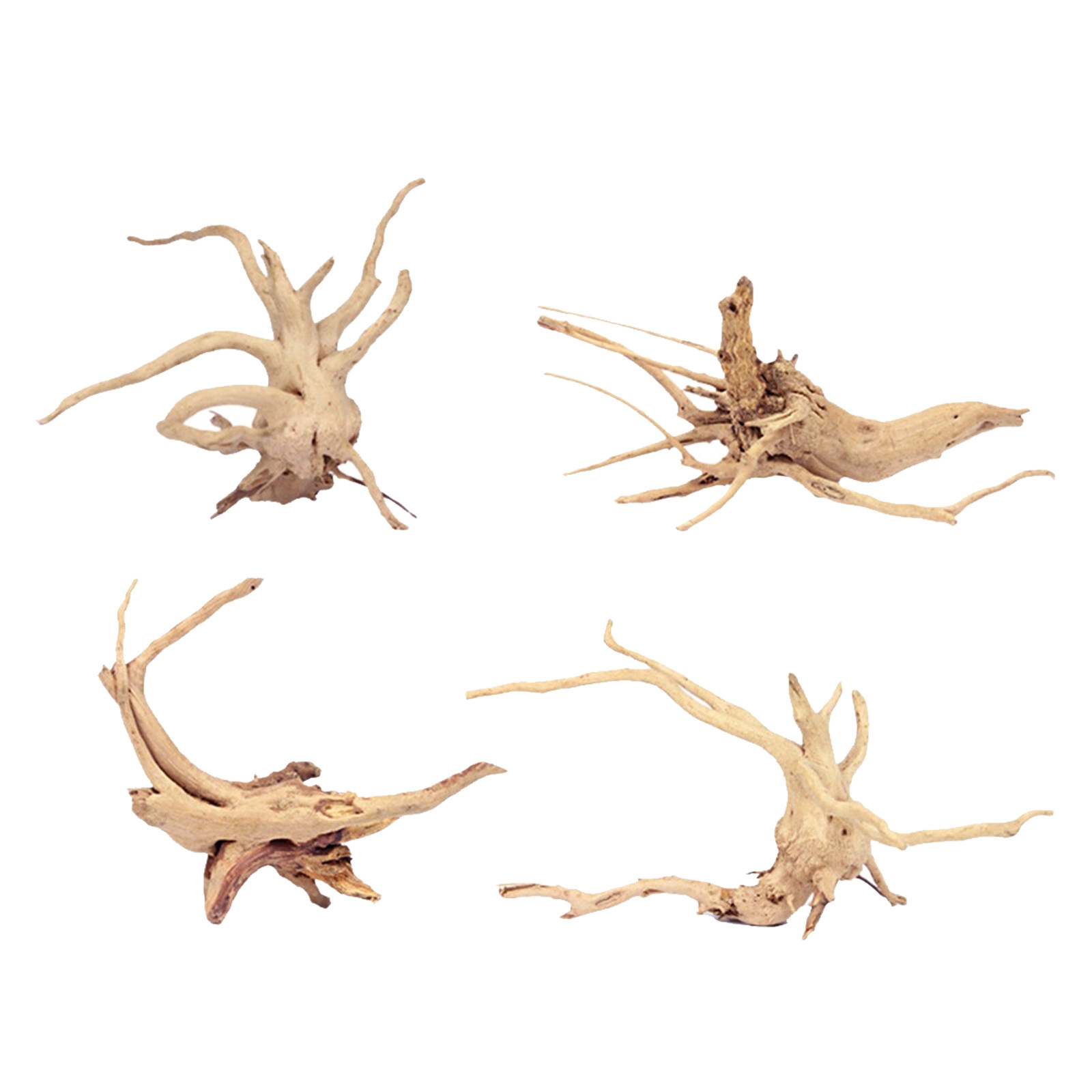 Planted Aquarium With Driftwood - 4개입 천연 드리프트우드 가지, 수족관 장식용,