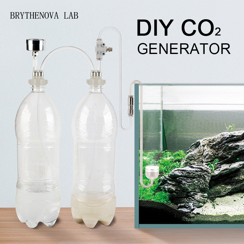 CO2 발생기 수족관 수초 어항 CO2 시스템 키트 발 - Planted Aquarium Kit 리뷰 및 가격