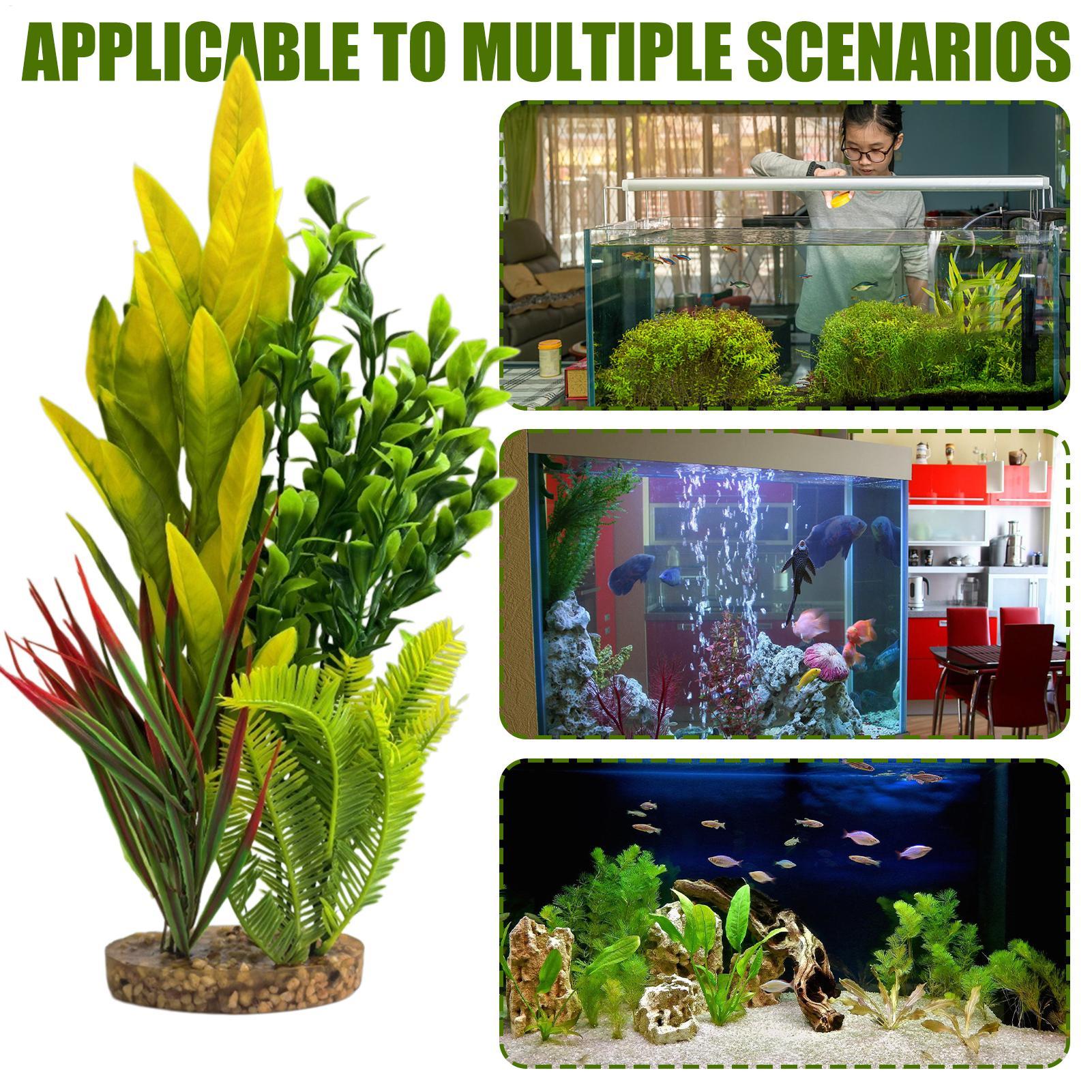 인공 수족관 식물 어항 장식 베타 어항 장식품 사육가  - Planted Aquarium For Beginners 리뷰 및 가격