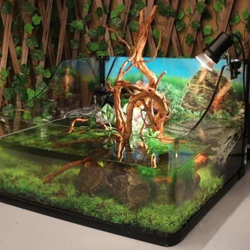 천연 나무 줄기 유목 수족관 어항, 파충류 실린더 뿌리 - Planted Aquarium With Driftwood 리뷰 및 가격