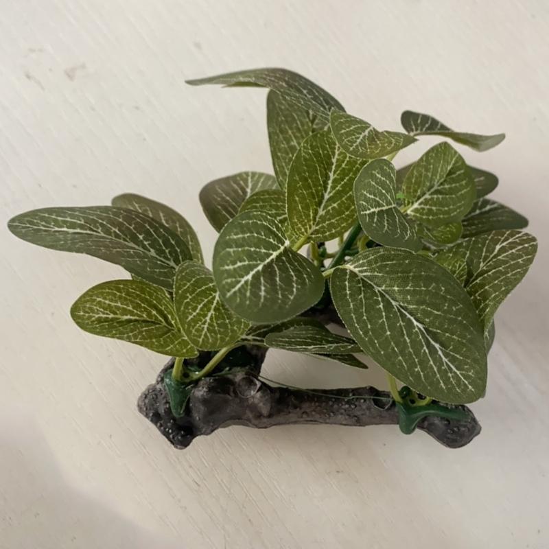 플라스틱 식물 수족관 장식 녹색 잎 Q5WC가 있는 인 - Planted Aquarium With Driftwood 리뷰 및 가격