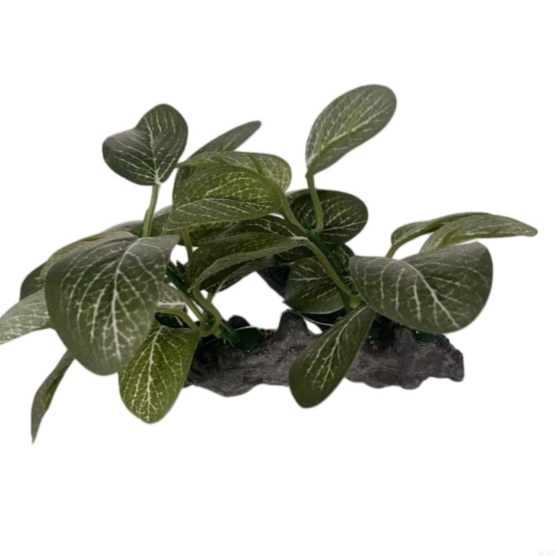 플라스틱 식물 수족관 장식 녹색 잎 Q5WC가 있는 인 - Planted Aquarium With Driftwood 리뷰 및 가격