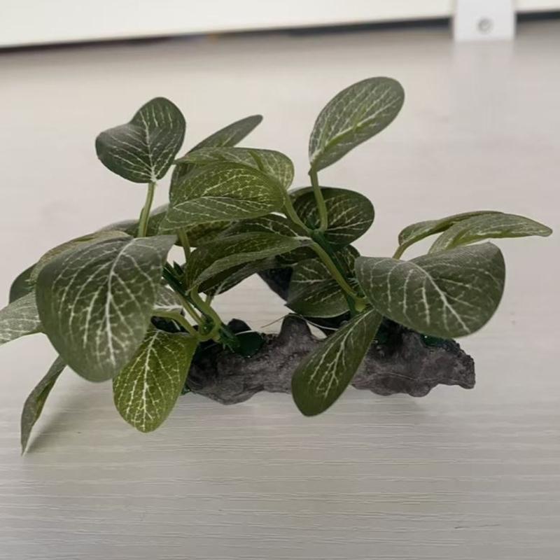 플라스틱 식물 수족관 장식 녹색 잎 Q5WC가 있는 인 - Planted Aquarium With Driftwood 리뷰 및 가격