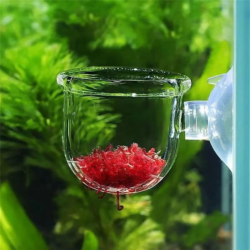 16PCS 수생 식물 컵 키트 투명 아크릴 수생 식물  - Planted Aquarium Kit 리뷰 및 가격