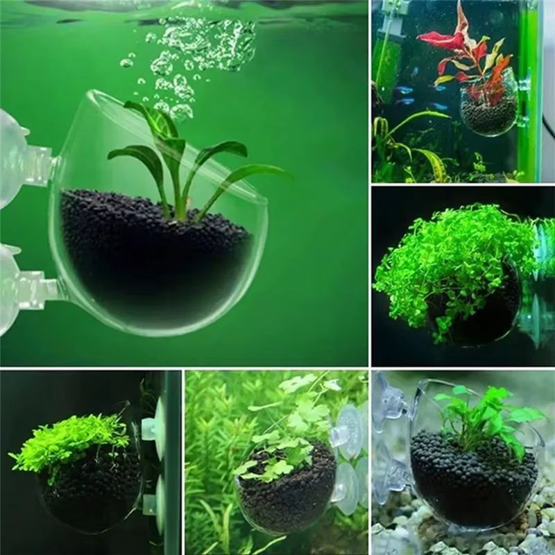 16PCS 수생 식물 컵 키트 투명 아크릴 수생 식물  - Planted Aquarium Kit 리뷰 및 가격