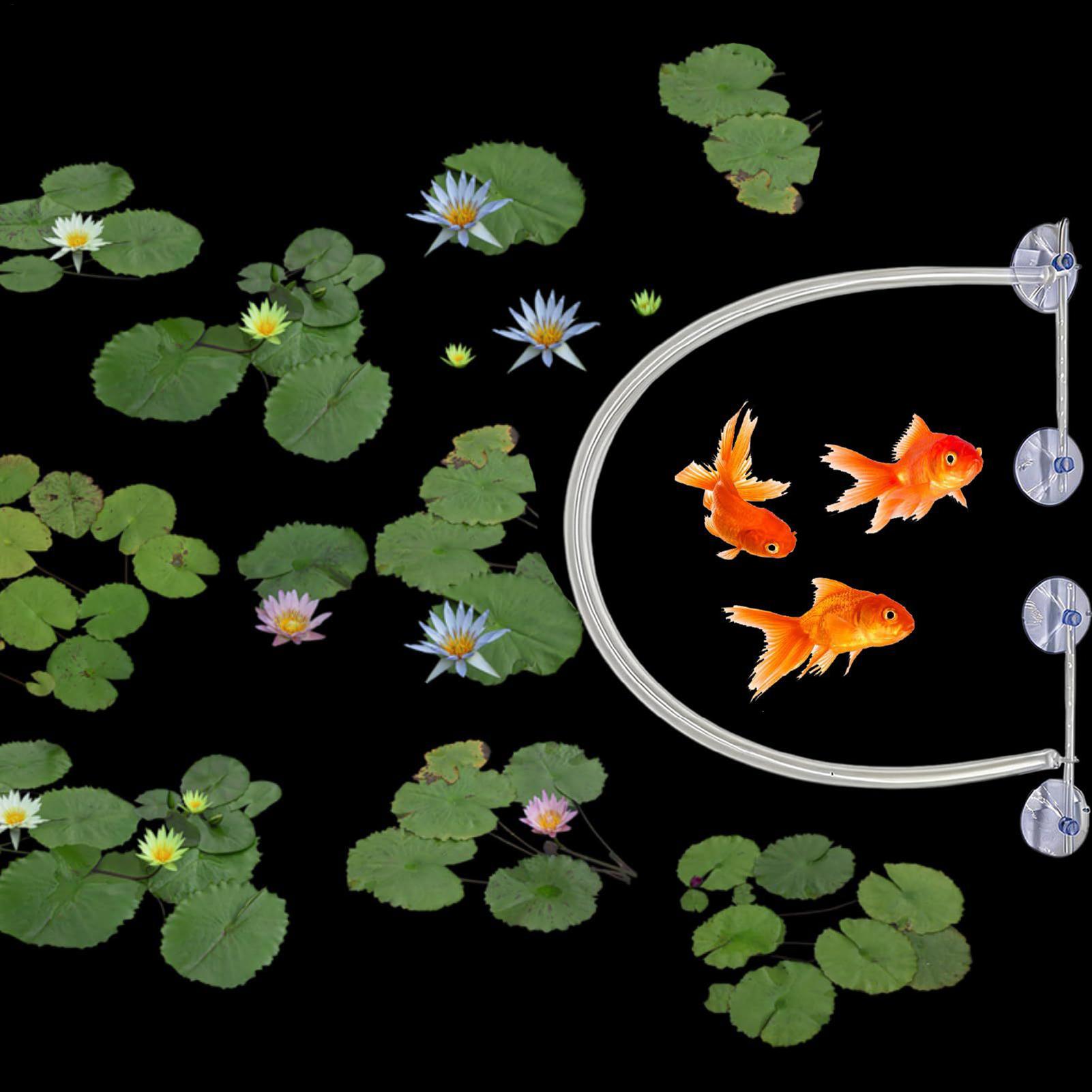 부유식 식물 차단 울타리 자동 높이 조절 가능 흡착 컵 - Planted Aquarium Kit 리뷰 및 가격