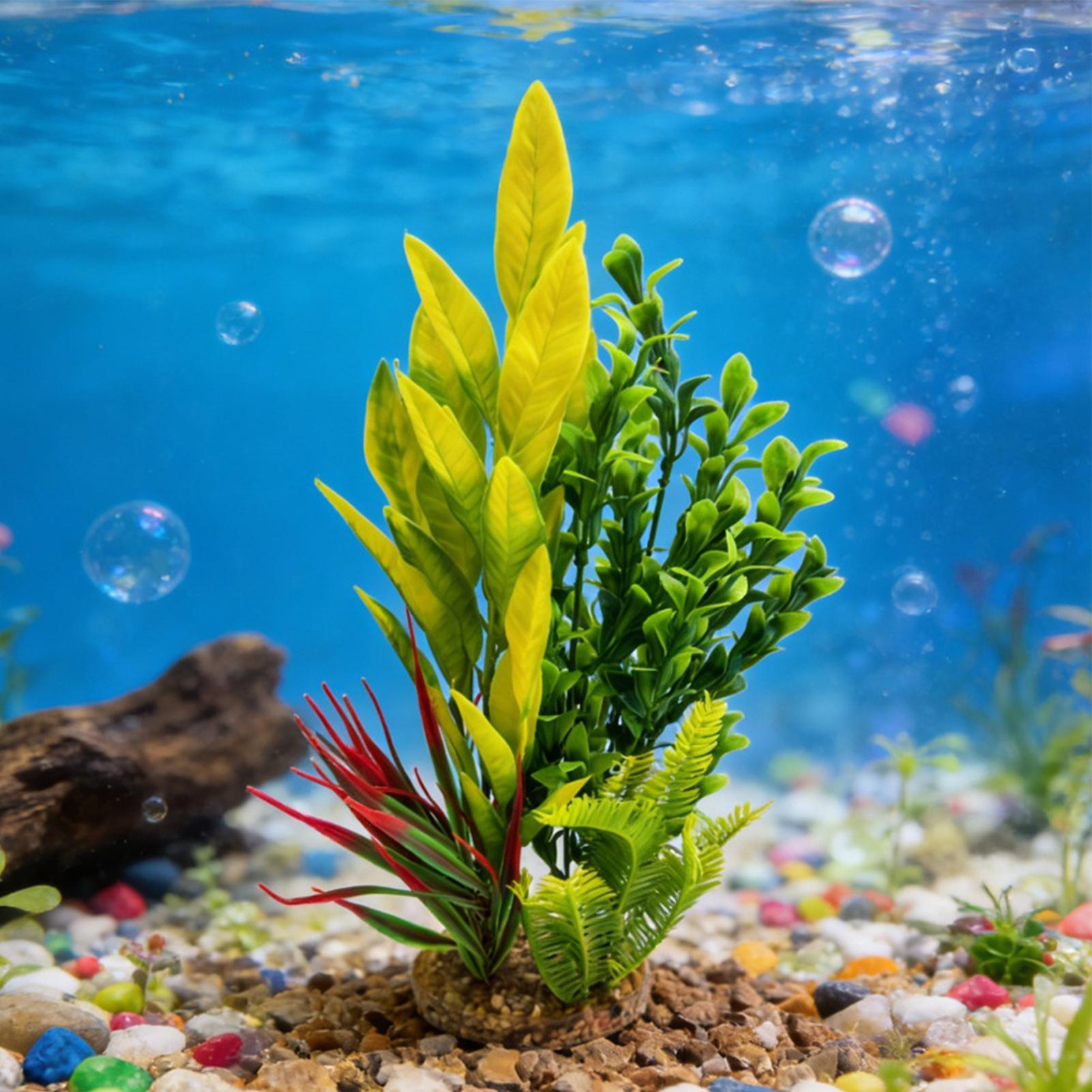 수족관 식물 인조 새우 탱크 장식 베타 탱크 장식품 사 - Planted Aquarium For Beginners 리뷰 및 가격