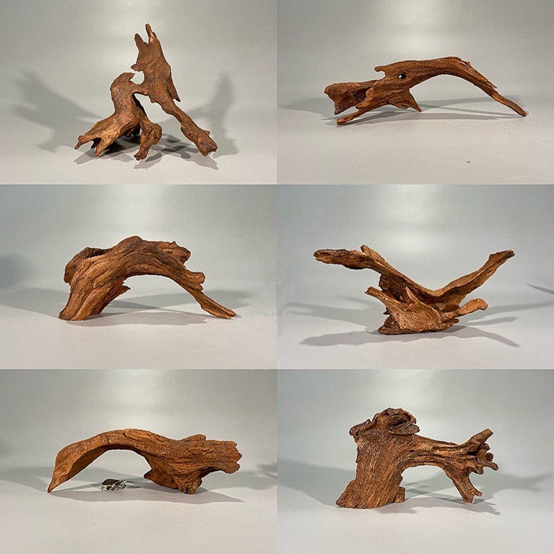 천연 유목 수족관 이끼 나무 모양 장식 진달래 뿌리 물 - Planted Aquarium With Driftwood 리뷰 및 가격