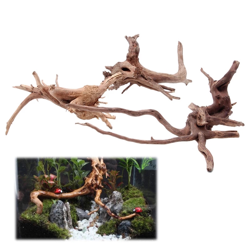 나무 자연 나뭇가지 유목 수족관 어항 식물 장식품 수족 - Planted Aquarium With Driftwood 리뷰 및 가격