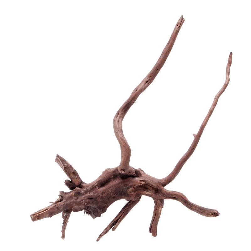 나무 자연 나뭇가지 유목 수족관 어항 식물 장식품 수족 - Planted Aquarium With Driftwood 리뷰 및 가격
