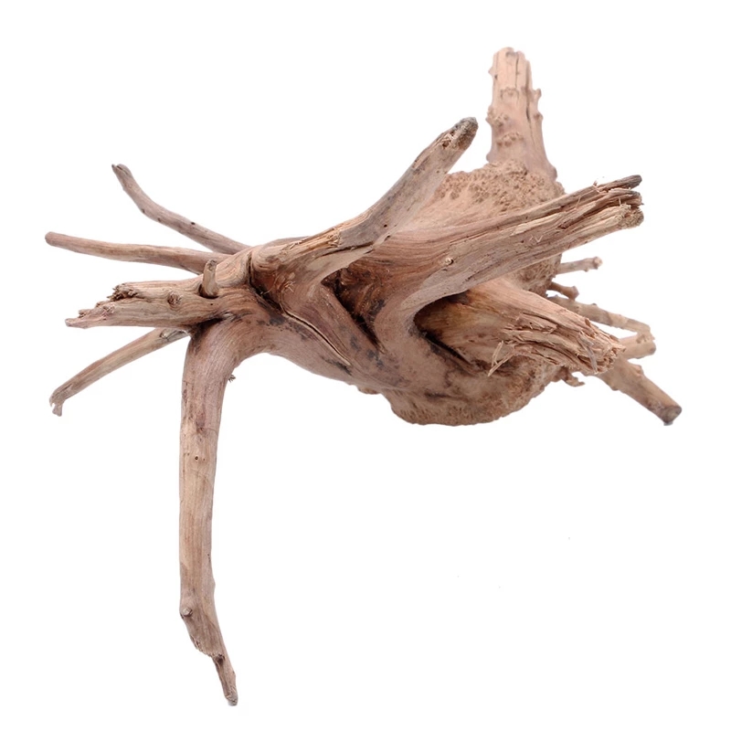 나무 자연 나뭇가지 유목 수족관 어항 식물 장식품 수족 - Planted Aquarium With Driftwood 리뷰 및 가격