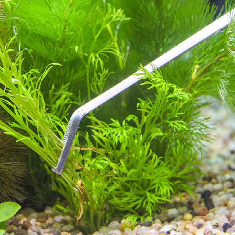 전문가용 수족관 관리 도구 세트: 생물이 있는 수족관, - Planted Aquarium Kit 리뷰 및 가격