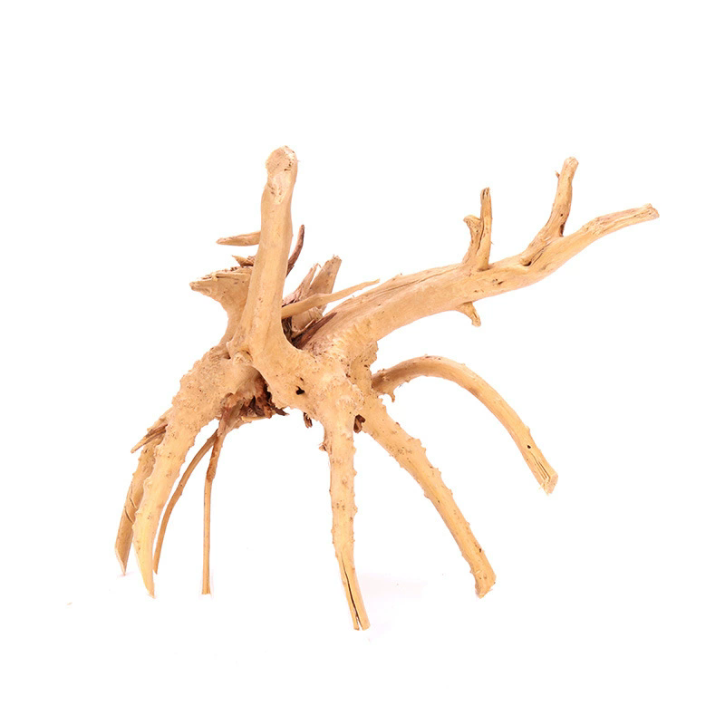 4개입 천연 나무 어항 장식 식물 나무줄기 유목 수족관 - Planted Aquarium With Driftwood 리뷰 및 가격