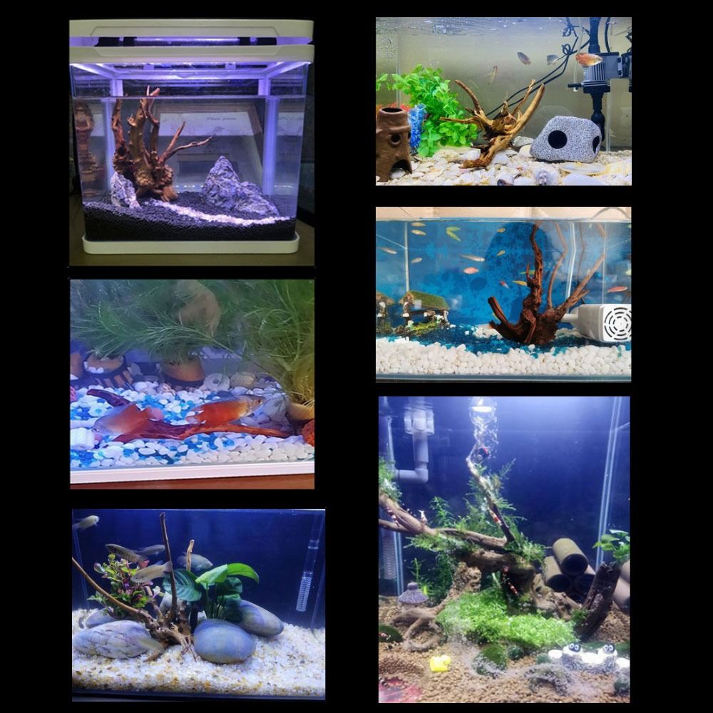 20-25CM 대형 수족관 유목 자연식물 장식 나무 어 - Planted Aquarium With Driftwood 리뷰 및 가격