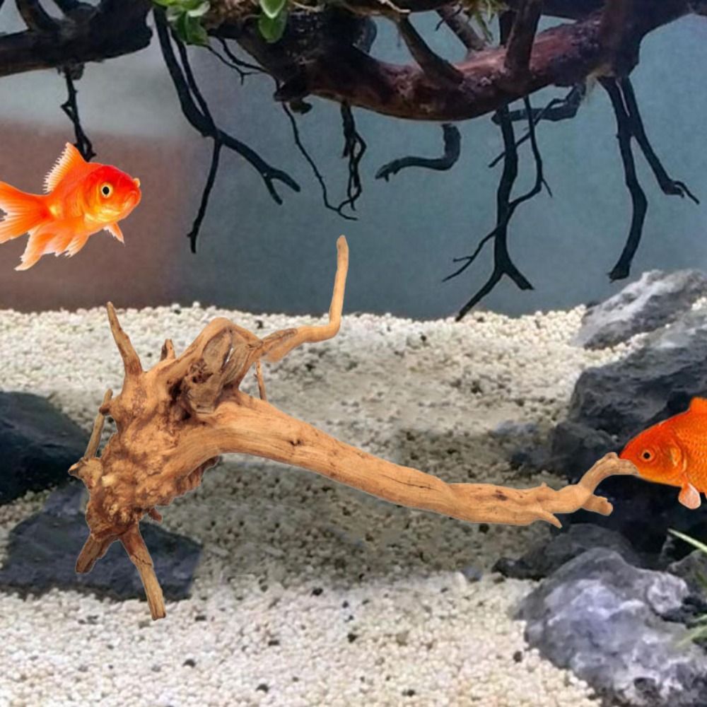 20-25CM 대형 수족관 유목 자연식물 장식 나무 어 - Planted Aquarium With Driftwood 리뷰 및 가격