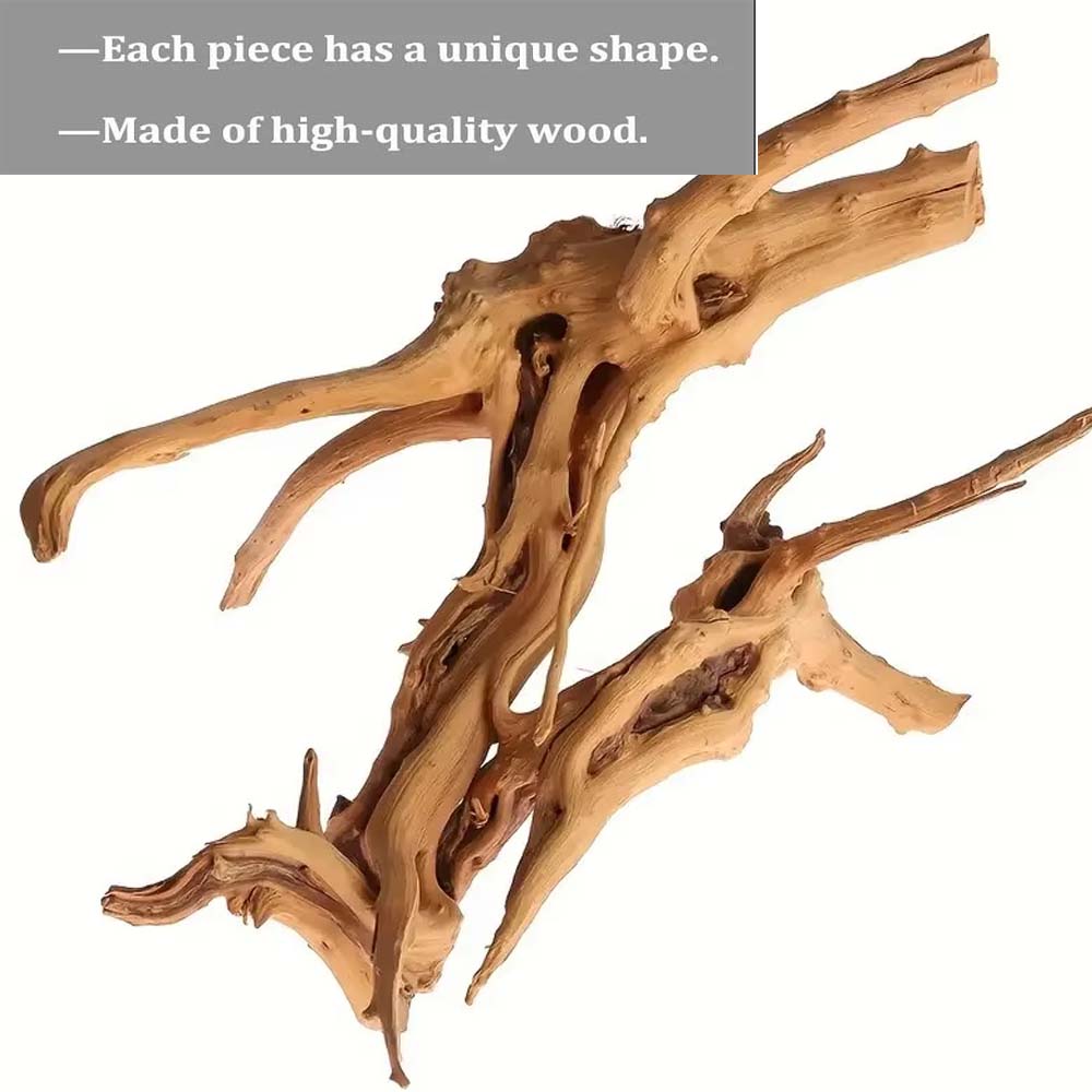 20-25CM 대형 수족관 유목 자연식물 장식 나무 어 - Planted Aquarium With Driftwood 리뷰 및 가격