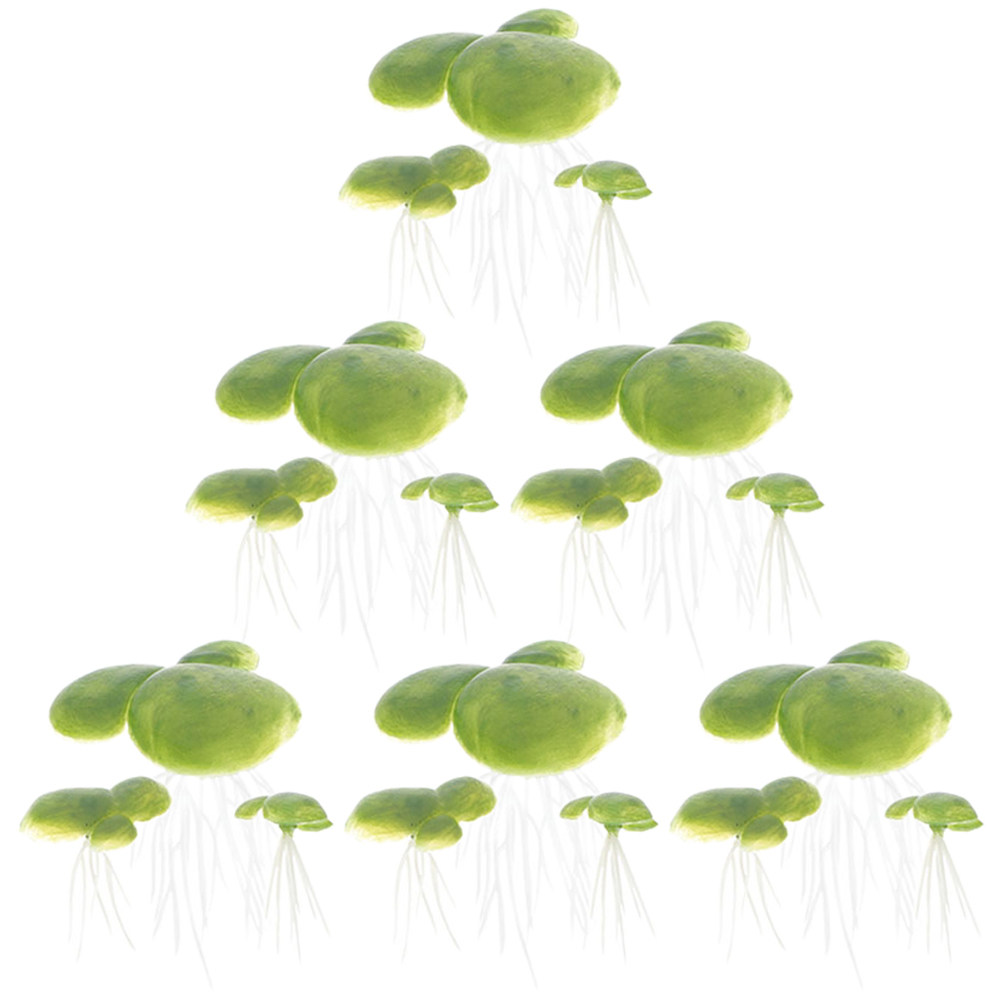 인공 오리풀 식물, 실제와 흡사한 모습으로 수족관에 떠 - Planted Aquarium For Beginners 리뷰 및 가격