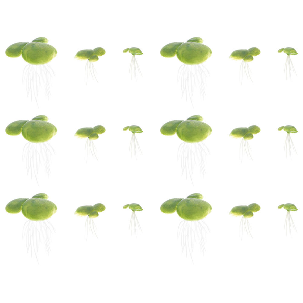 인공 오리풀 식물, 실제와 흡사한 모습으로 수족관에 떠 - Planted Aquarium For Beginners 리뷰 및 가격