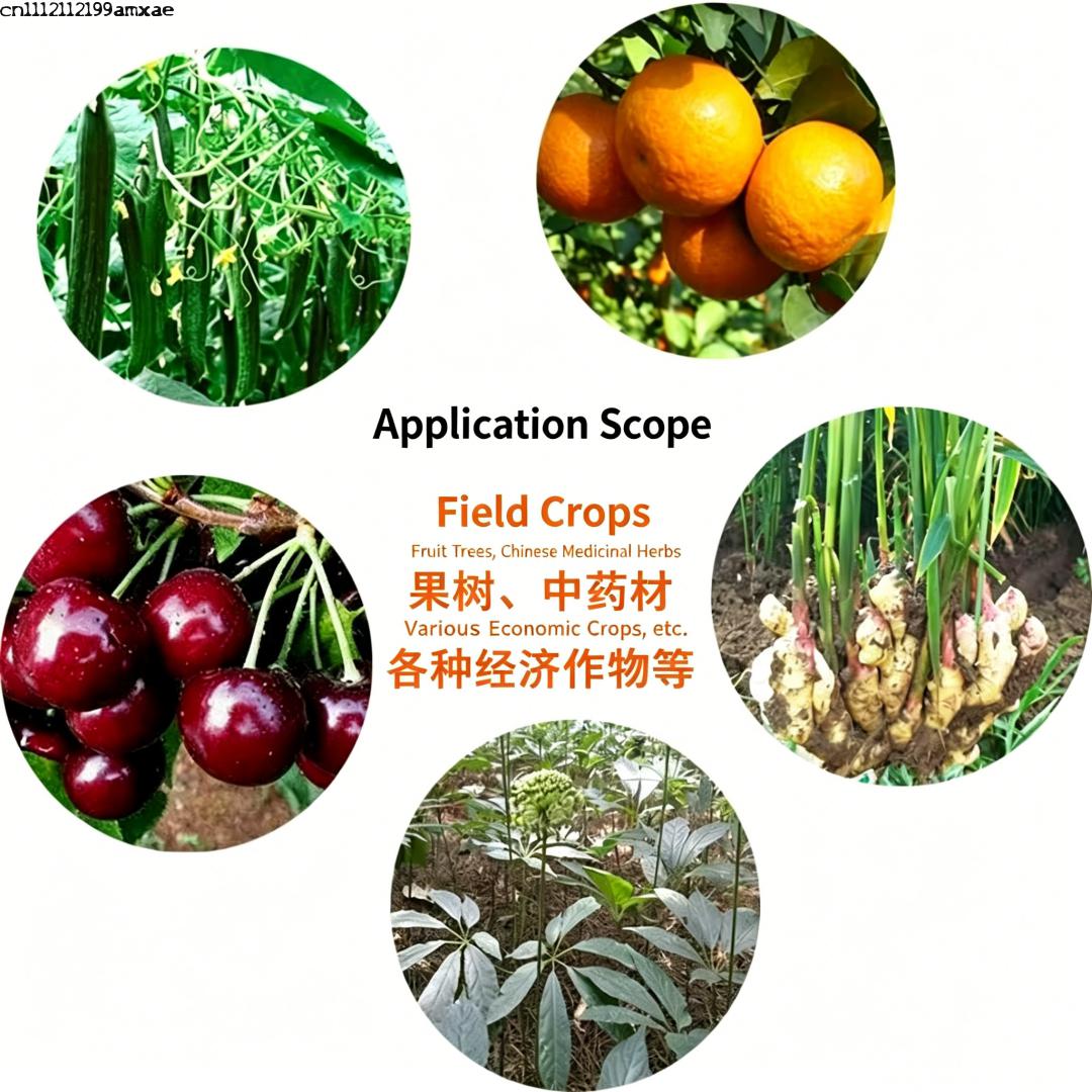 유기농 바실러스 서브틸리스 프로바이오틱스 분말 비료,  - Aquarium Plant Root Fertilizer 리뷰 및 가격