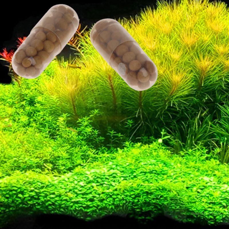 QX2E 수족관 라이브 식물 비료 뿌리 탭 수량 40  - Aquarium Plant Root Fertilizer 리뷰 및 가격