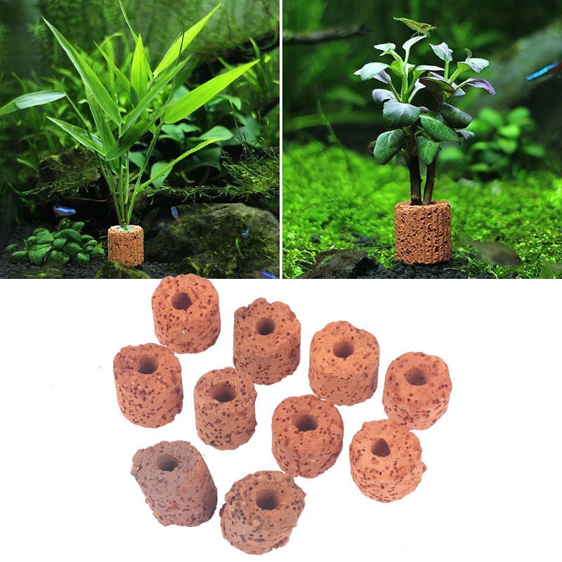 10개입 식물 링 수족관 고정용 물탱크 필터 무게추 홀 - Aquarium Plant Ornament 리뷰 및 가격
