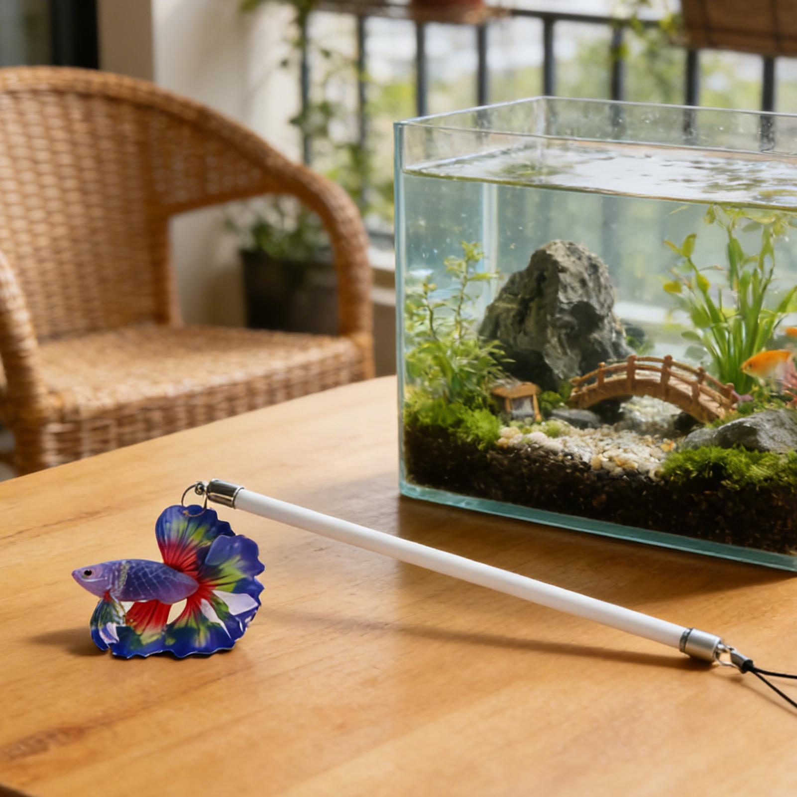 베타 물고기 훈련용 막대, 인터랙티브 엔리치먼트, 사실 - Planted Aquarium For Beginners 리뷰 및 가격
