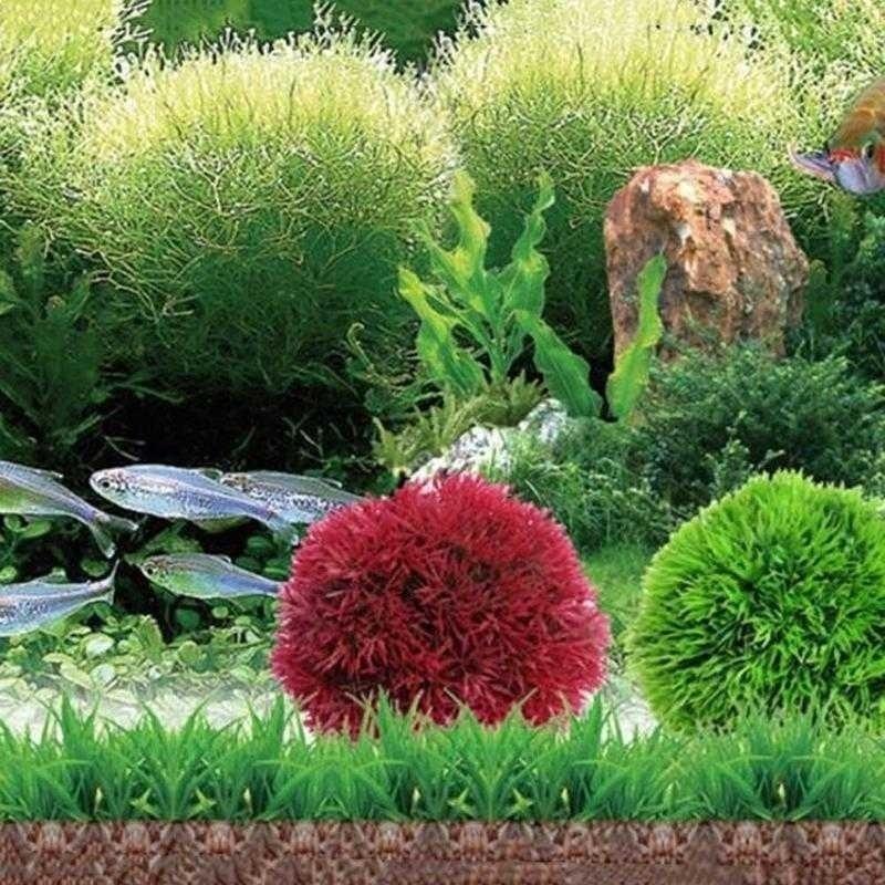 2026 인공 수생 플라스틱 식물 수족관 잔디 공 어항 - Aquarium Plant Ornament 리뷰 및 가격