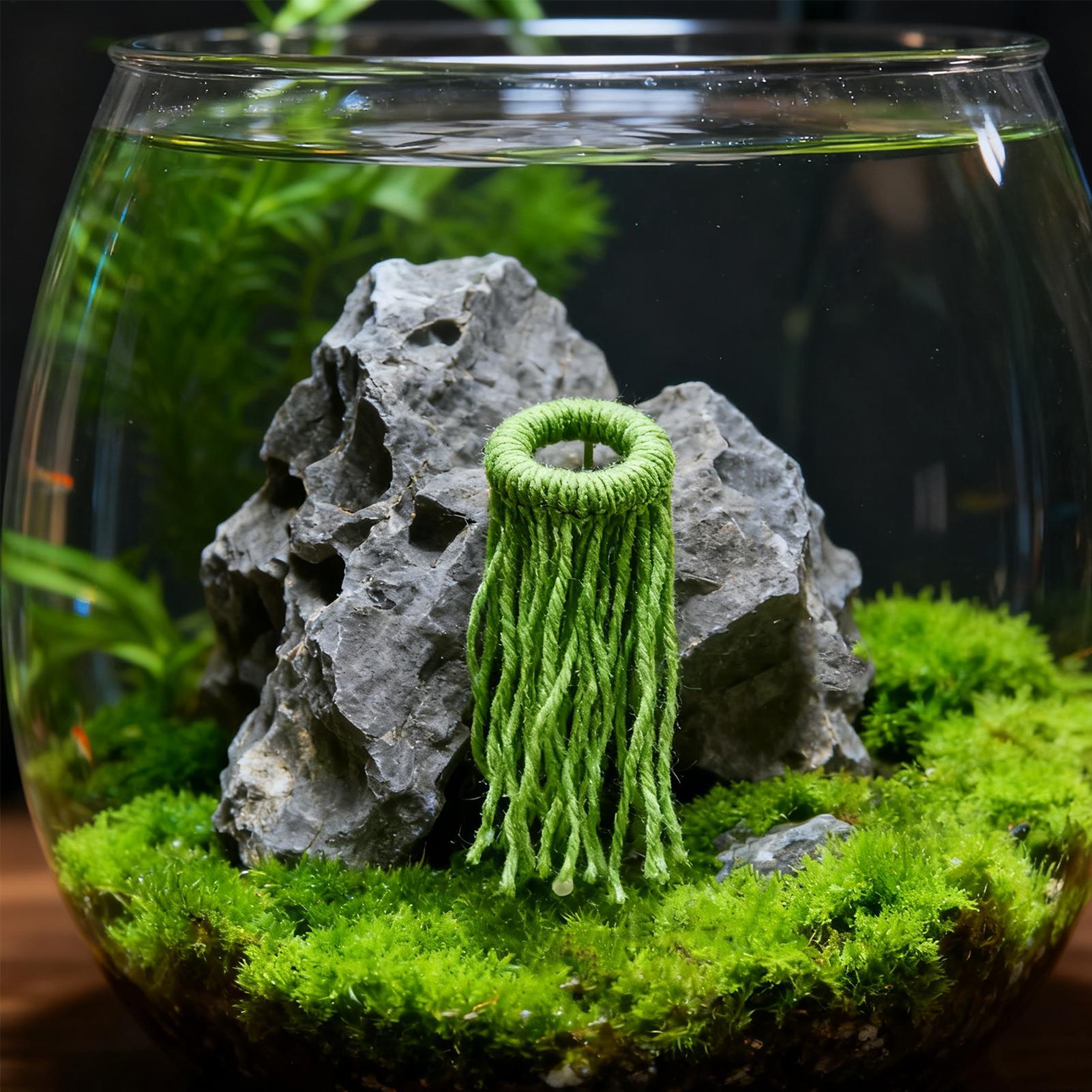 수생 식물 알 낳기용 모프, 떠다니는 면 모프, 가정용 - Aquarium Plant Ornament 리뷰 및 가격