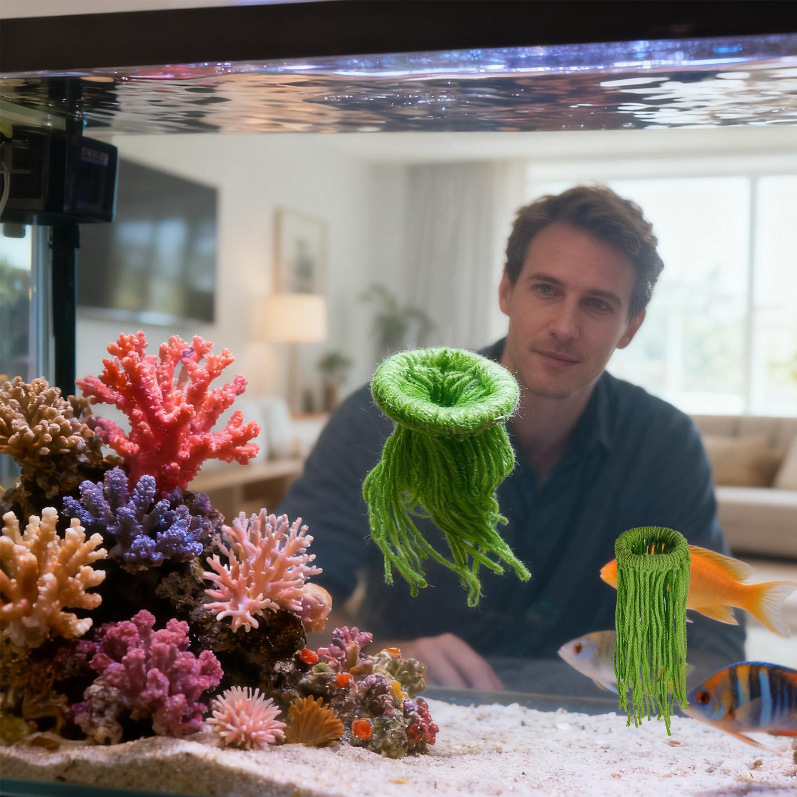 수생 식물 알 낳기용 모프, 떠다니는 면 모프, 가정용 - Aquarium Plant Ornament 리뷰 및 가격