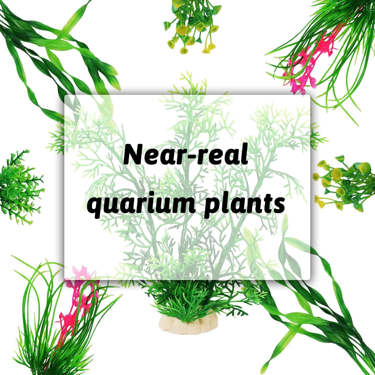 인조 수족관 식물 세트 어항 장식 플라스틱 수생 식물  - Planted Aquarium For Beginners 리뷰 및 가격