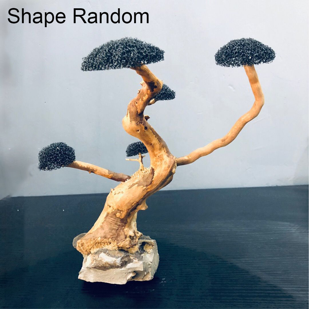 수족관 장식 이끼 드리프트우드 어항 조경 수초 이끼 나 - Planted Aquarium With Driftwood 리뷰 및 가격