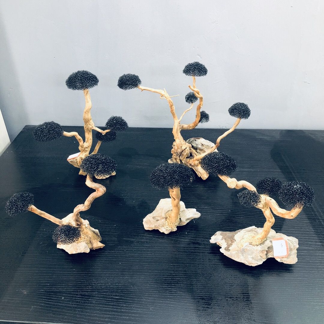 수족관 장식 이끼 드리프트우드 어항 조경 수초 이끼 나 - Planted Aquarium With Driftwood 리뷰 및 가격