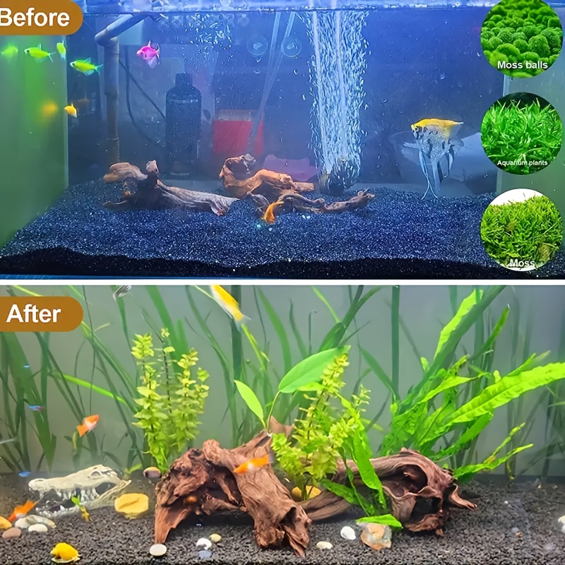 1개 랜덤 스타일 천연 침수형 유목, 수족관 어항 장식 - Planted Aquarium With Driftwood 리뷰 및 가격