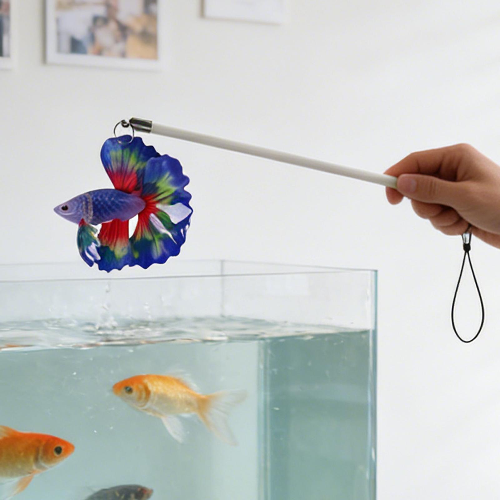 물고기 훈련 스틱 현실적인 수생 운동 게임 수족관 탱크 - Planted Aquarium For Beginners 리뷰 및 가격
